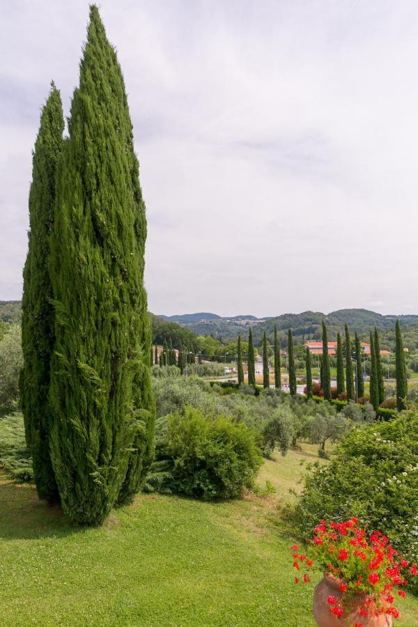 Villa Ligustro Riparbella Luaran gambar